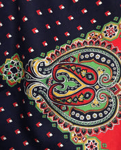 Load image into Gallery viewer, Amazing 1970's vintage paisley print dress by Denise are There