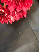 Load image into Gallery viewer, Incredible 1940’s 1950’s vintage gown by Frank Starr