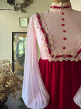 Load image into Gallery viewer, Darling 1960’s Vintage Pink Chiffon and Velvet Maxi Dress
