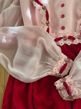 Load image into Gallery viewer, Darling 1960’s Vintage Pink Chiffon and Velvet Maxi Dress
