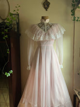 Load image into Gallery viewer, 1970’s Vintage Pale Pink Swiss Dot Chiffon Gown
