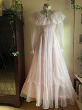 Load image into Gallery viewer, 1970’s Vintage Pale Pink Swiss Dot Chiffon Gown
