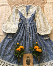 Load image into Gallery viewer, Authentic 1970&#39;s vintage dusty eggshell blue floral Gunne Sax maxi dress
