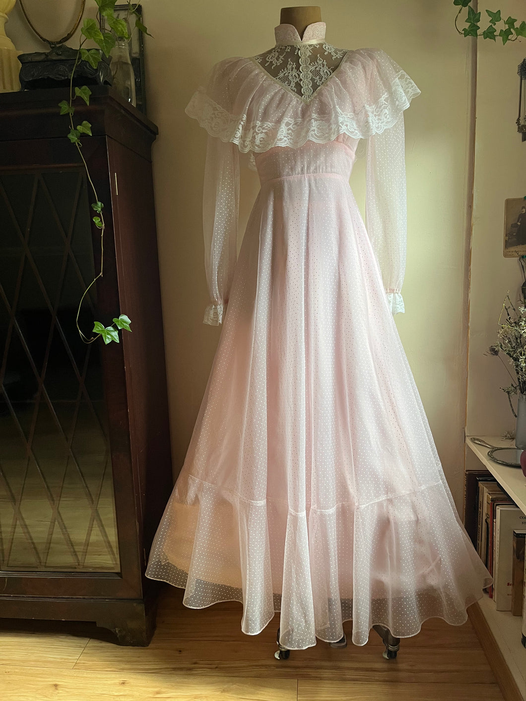 1970’s Vintage Pale Pink Swiss Dot Chiffon Gown