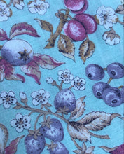 Load image into Gallery viewer, Authentic 1970’s vintage floral and bird print calico dress
