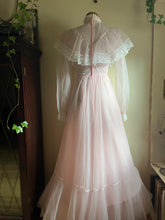 Load image into Gallery viewer, 1970’s Vintage Pale Pink Swiss Dot Chiffon Gown
